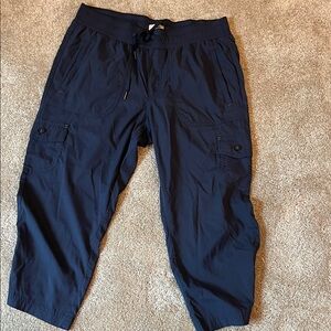 L.L. Bean Dark Blue Cargo Pants